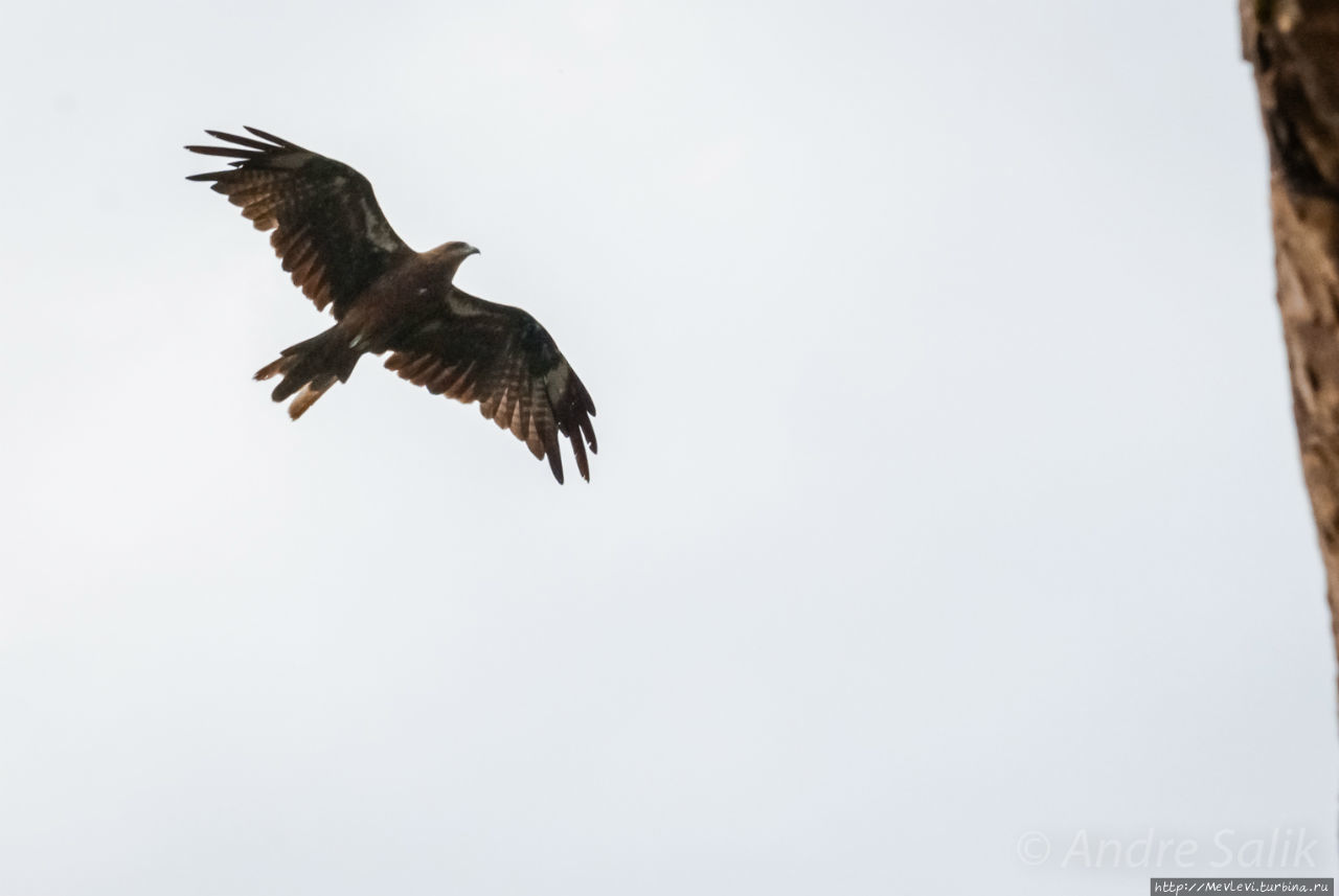 Хари Парбат Форт Шринагар, Индия
