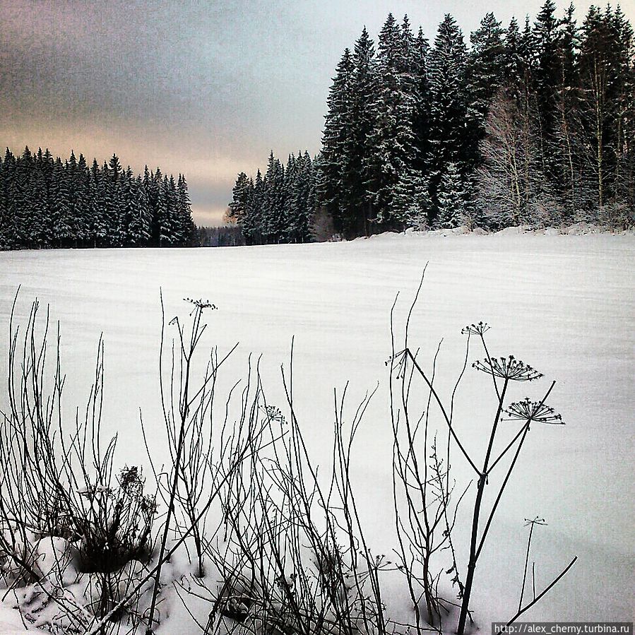 скромная красота Финской природы Ювяскюля, Финляндия