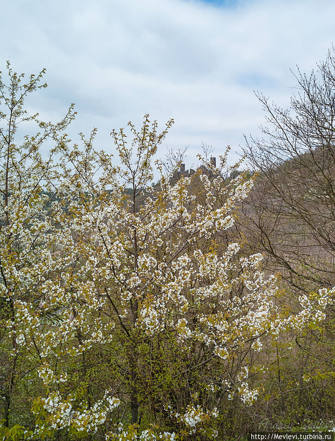 Замок Enrenburg, Германия Кохем, Германия