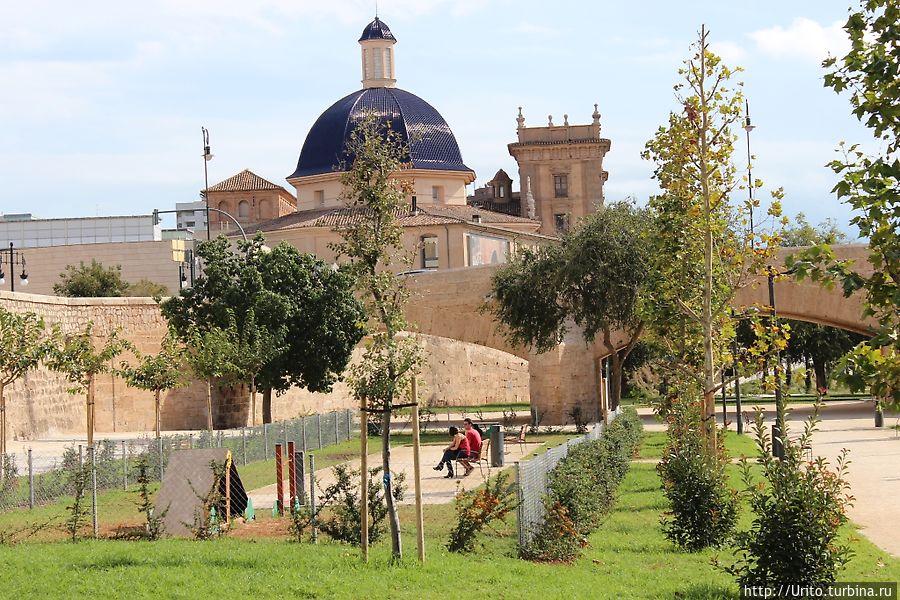 сады в районе Museo de Bellas Artes San Pio V