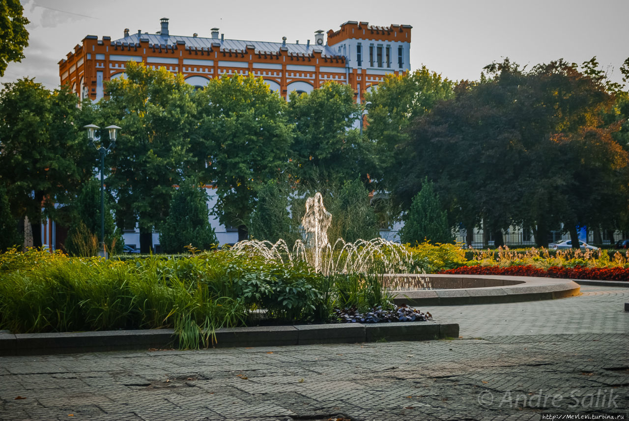 В закатном солнце Рига, Латвия