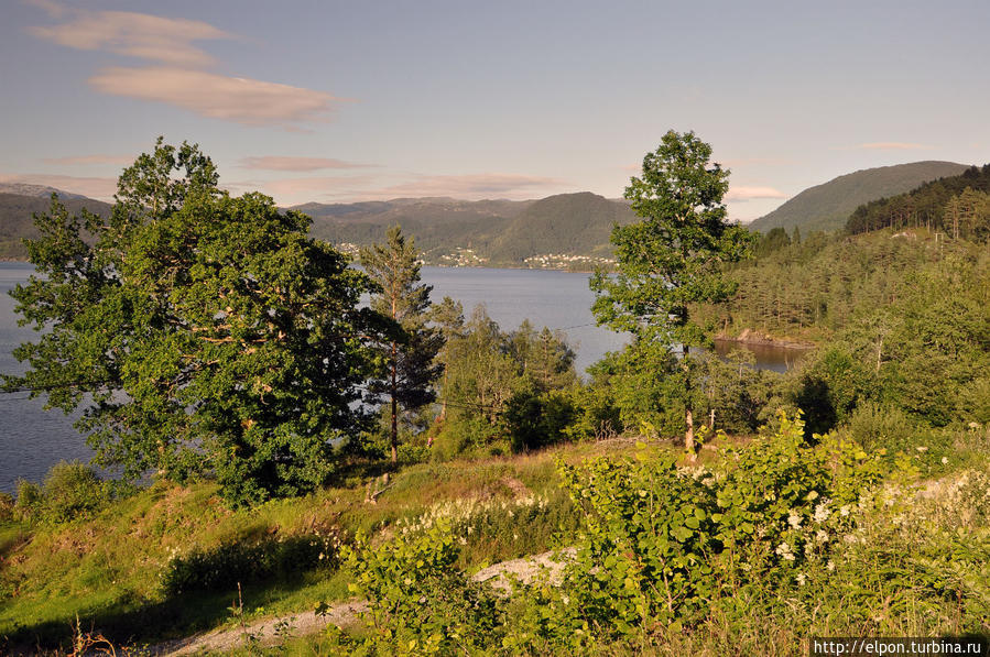 Gaupholm Camp Берген, Норвегия