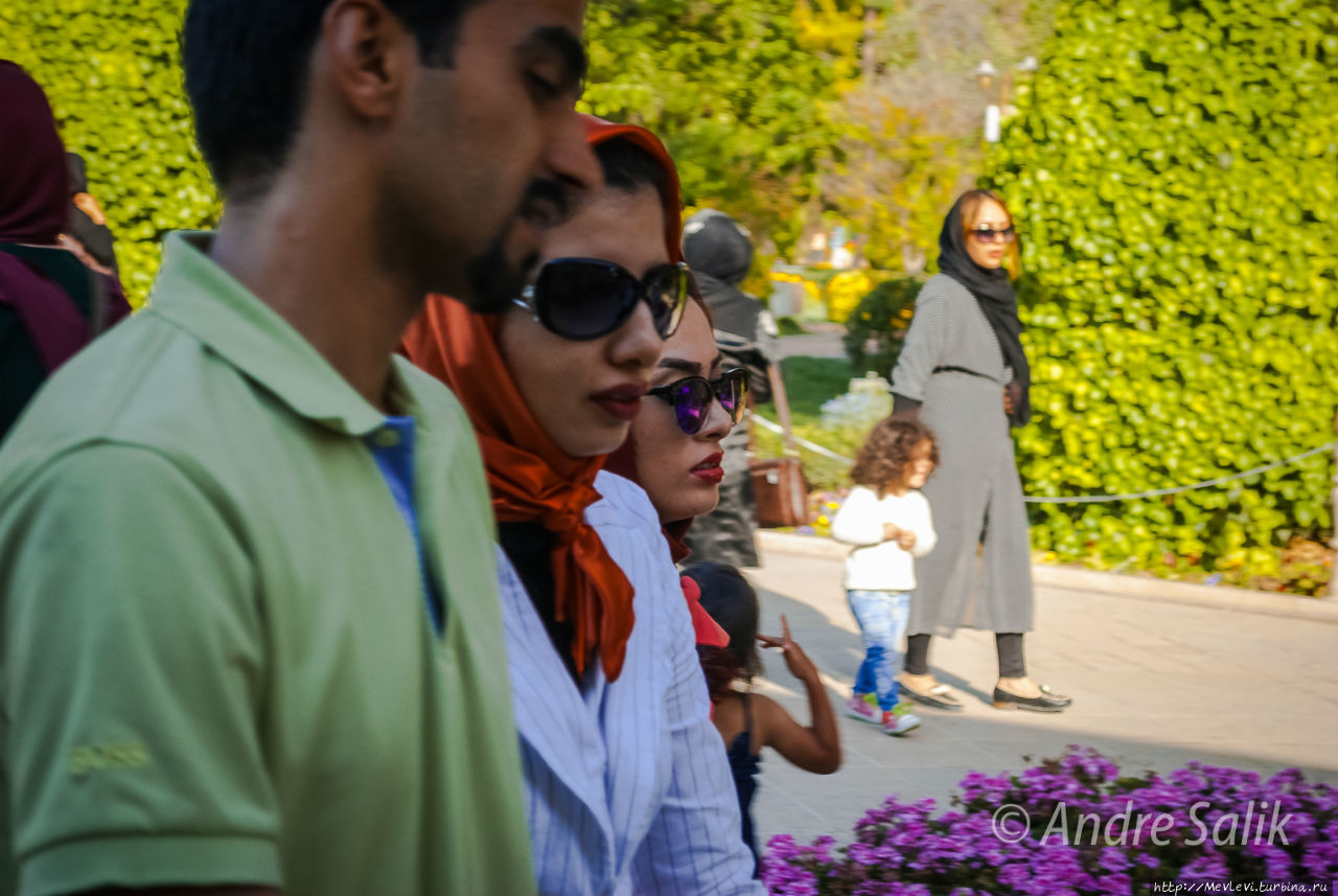 Шираз  сад Эрам Шираз, Иран