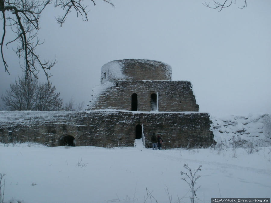 Капурга Копорье, Россия