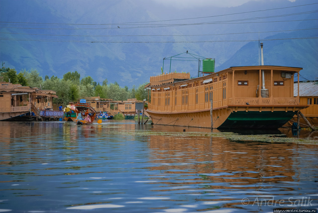Озеро Дал Шринагар, Индия