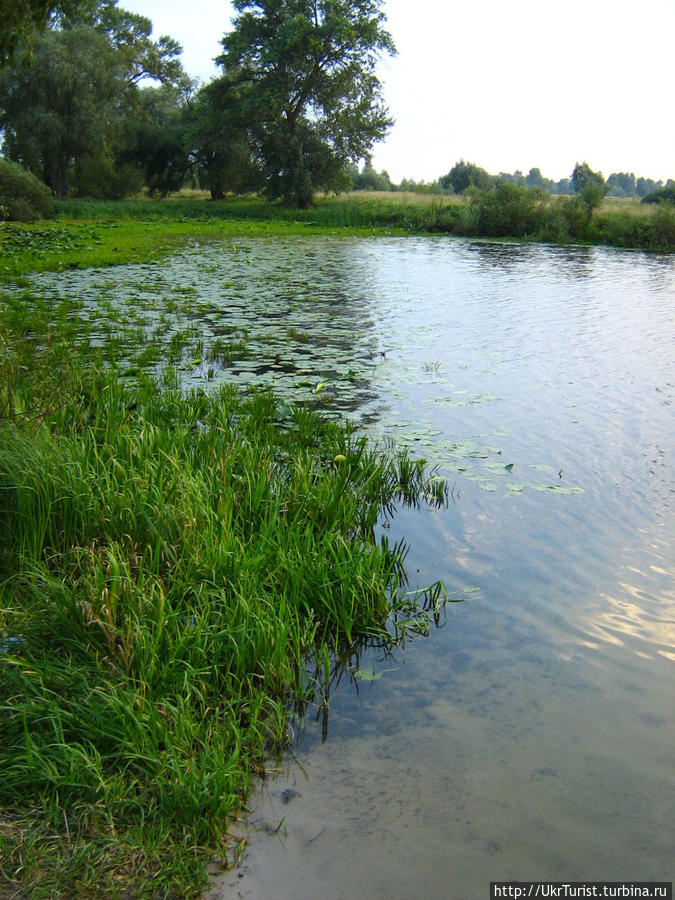 Озеро Солонецкое и живописные луга Черниговщины Остер, Украина