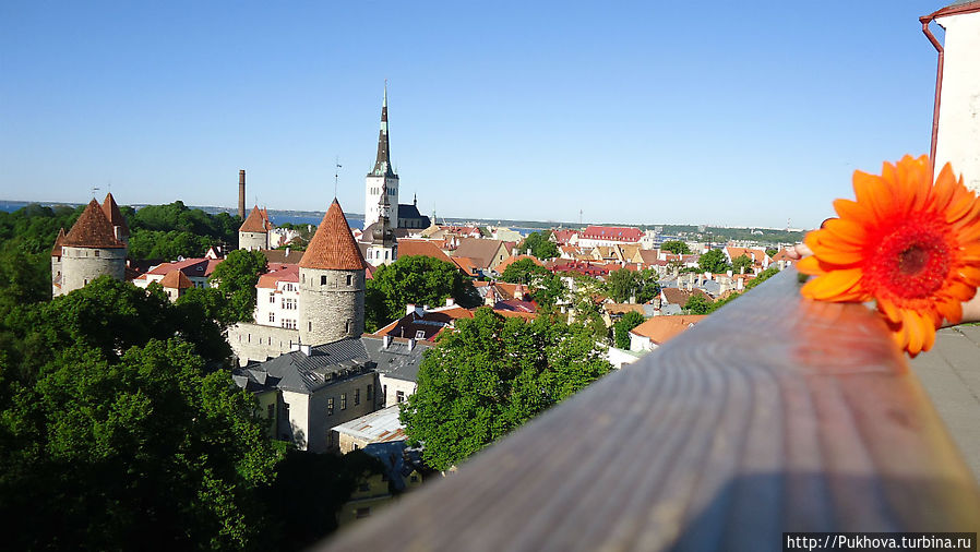 панорама Таллинна Таллин, Эстония