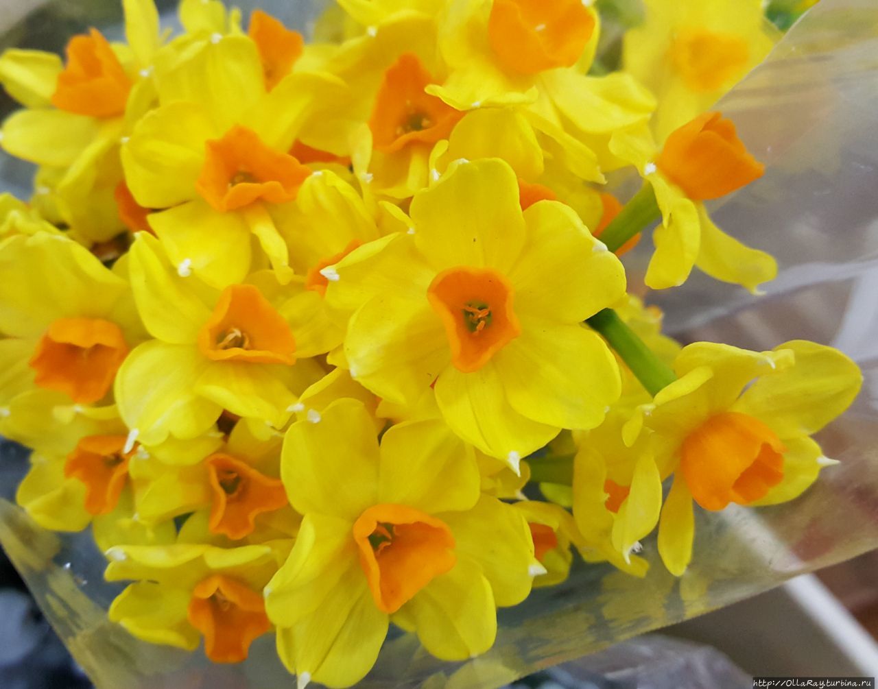 А в Москве из полным полн