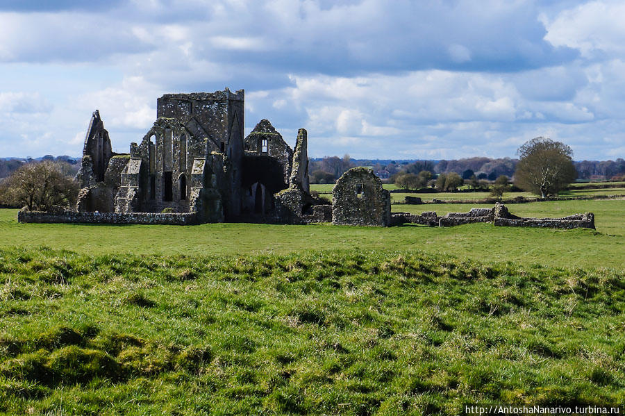 Развалины аббатства Хор (Hore Abbey). Кашел, Ирландия