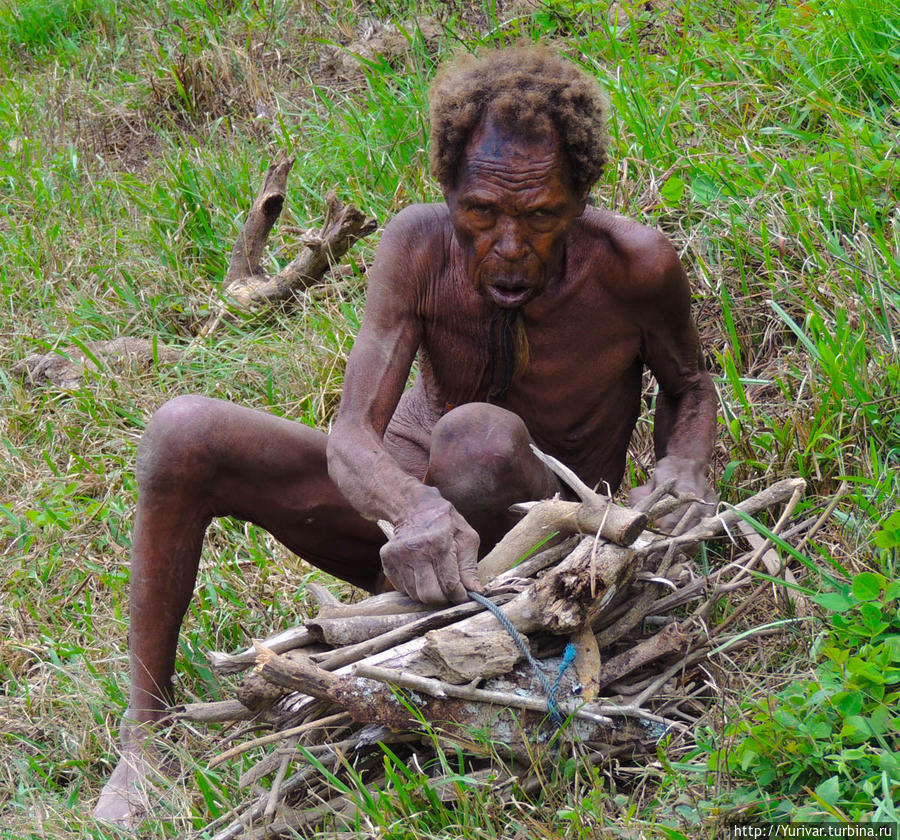 Для поддержания очага нужно каждый день собирать дрова Вамена, Индонезия