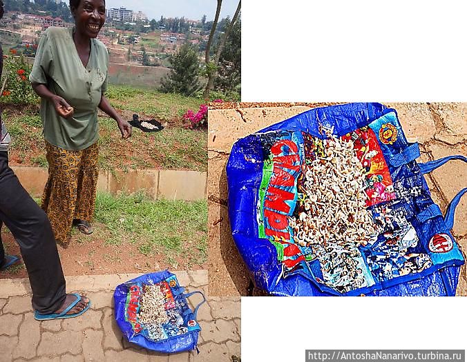 Афрогрибы Кигали, Руанда