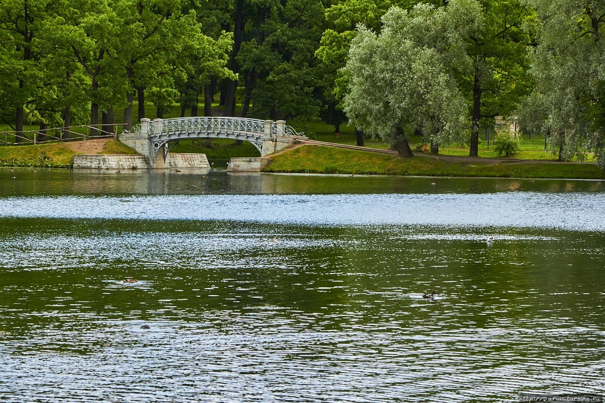 Гатчина Гатчина, Россия