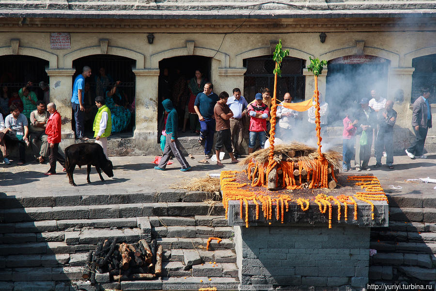 Another World. Часть 5. Неописуемое Катманду, Непал