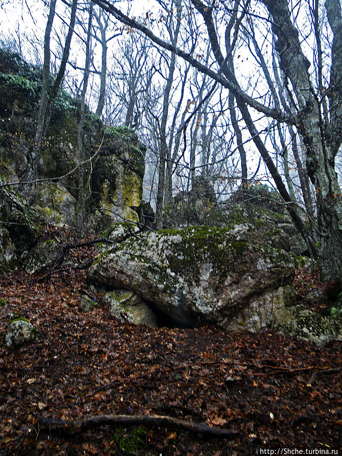большую часть пути шли по полнейшему бездорожью