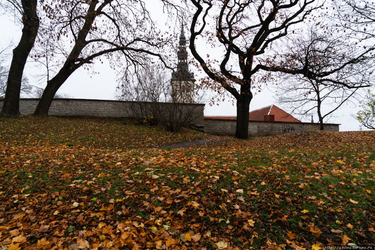 Дождливая осень в Таллине Таллин, Эстония