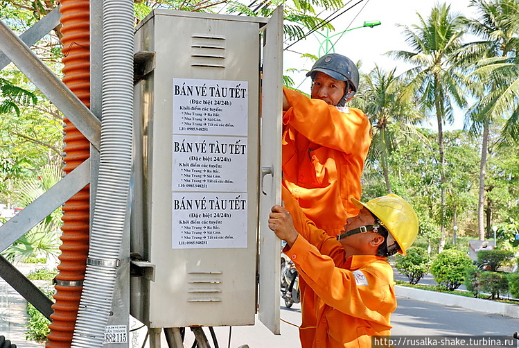 Нарядные вьетнамские элек