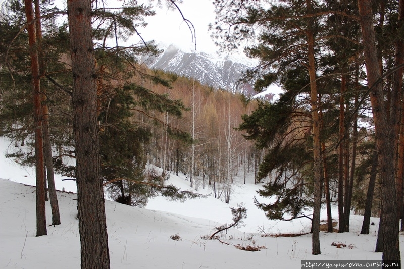 Домики-бочки: обман первого впечатления. В горах Киргизии. Киргизия