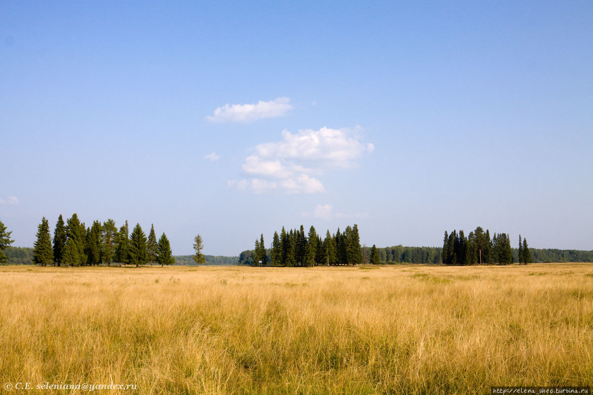 Месяц август, зрелое лето