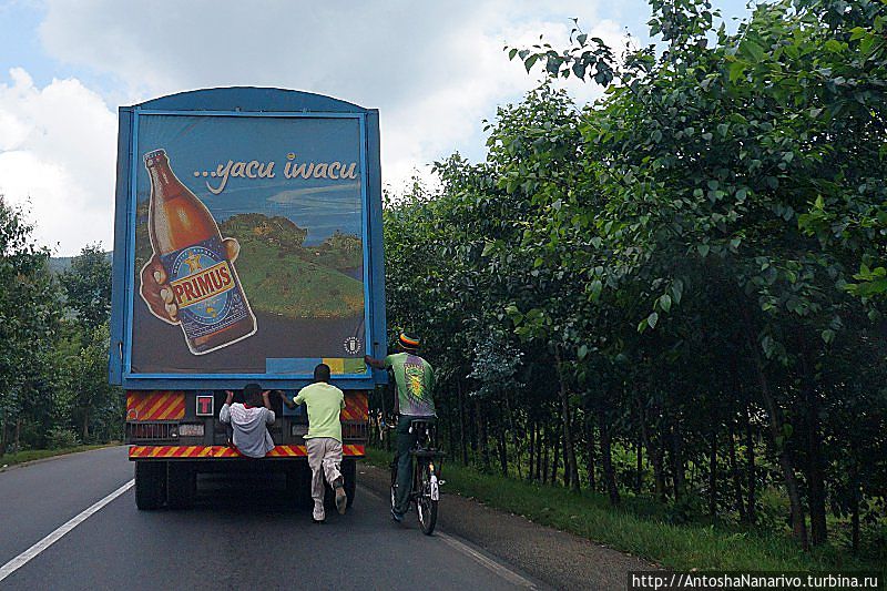 Халявные пассажиры на пивовозе Северная провинция, Руанда