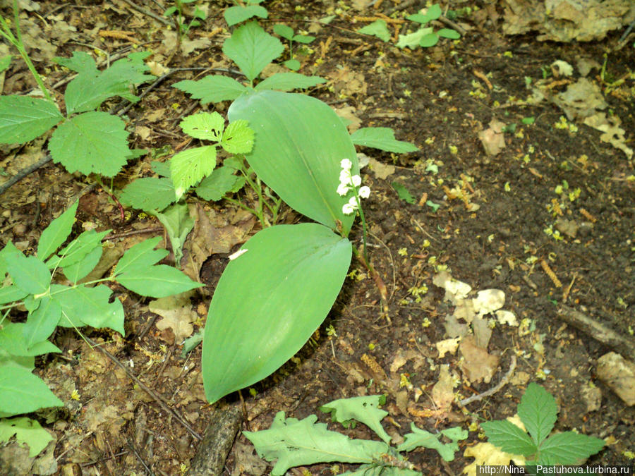 Последний день весны Оренбургская область, Россия