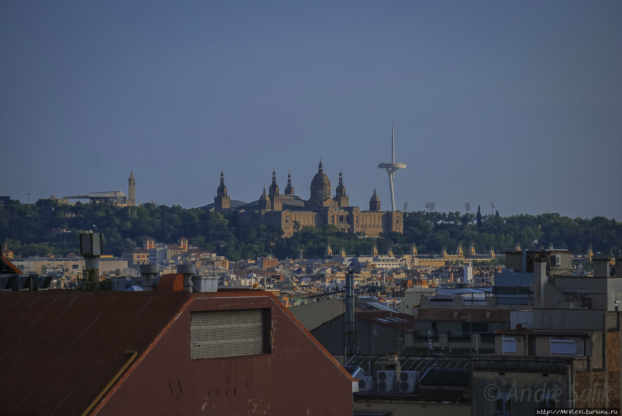 Май в Барселоне Барселона, Испания