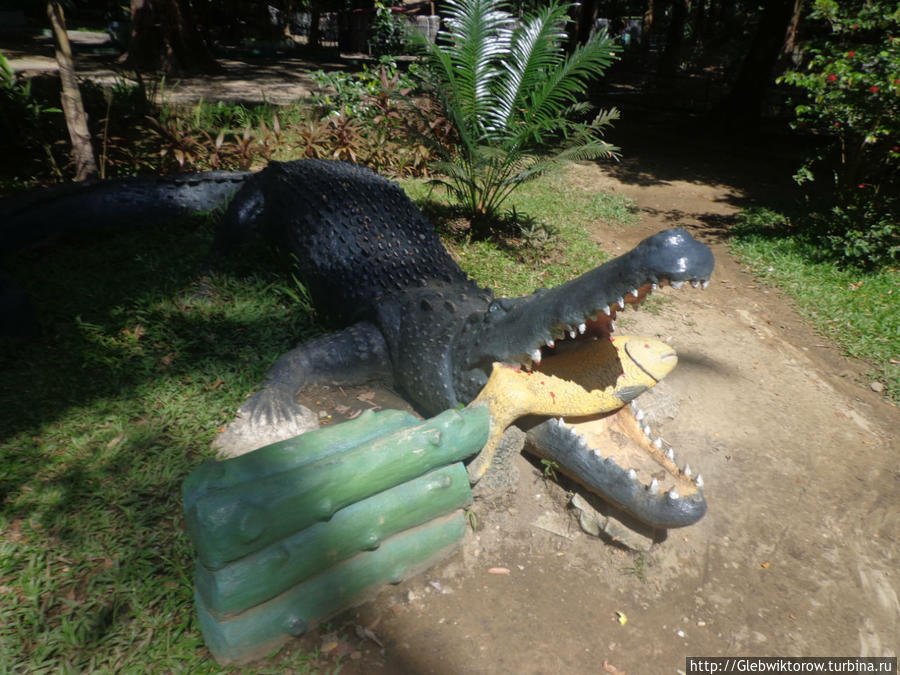 Yangon Zoological Garden Янгон, Мьянма