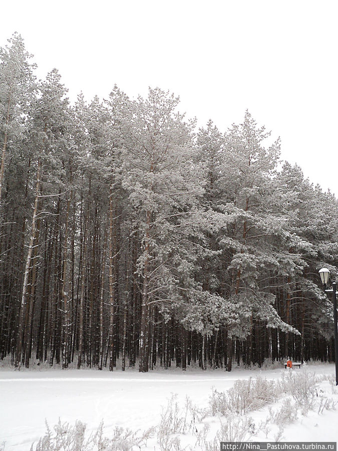 В  зимней  сказке
