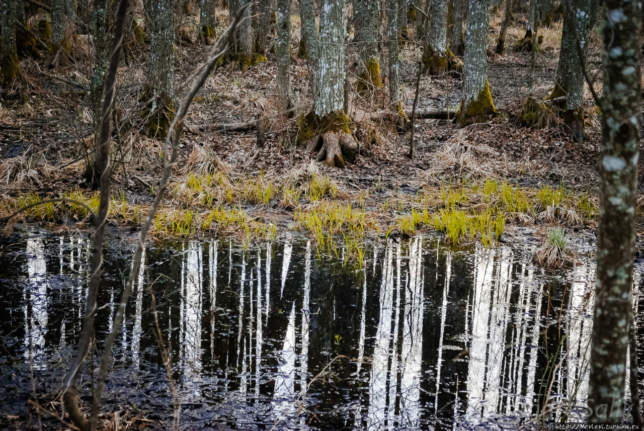 Озеро Слокас Кемери, Латвия