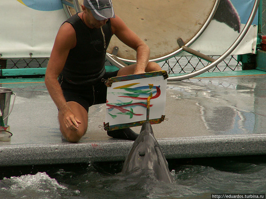 Дельфинарий Большой Утриш, Россия
