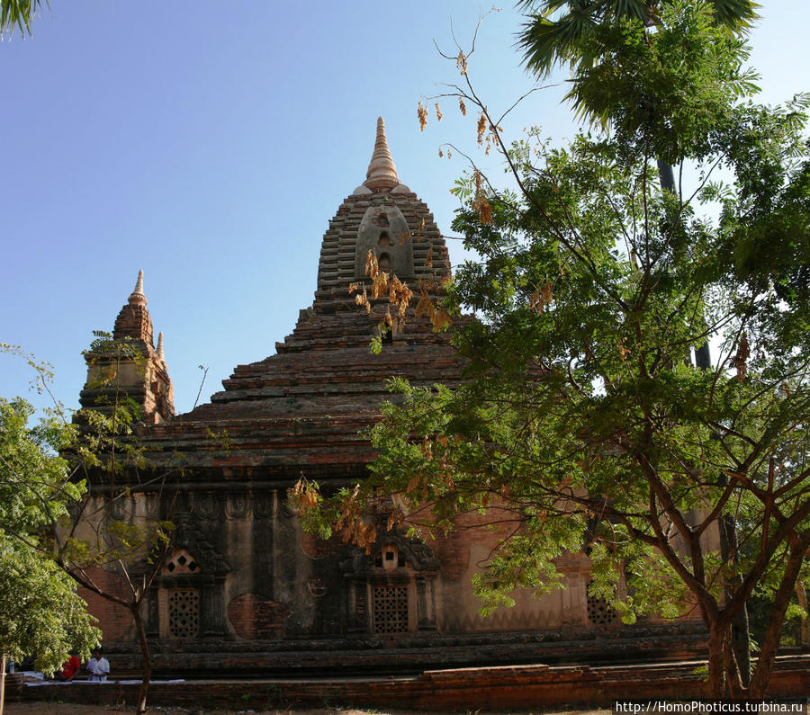 Здесь растут храмы! Баган, Мьянма