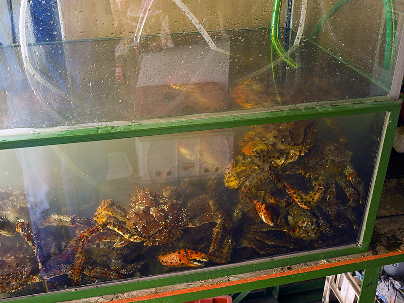 Живые крабы на рыбном рынке. Магадан, Россия