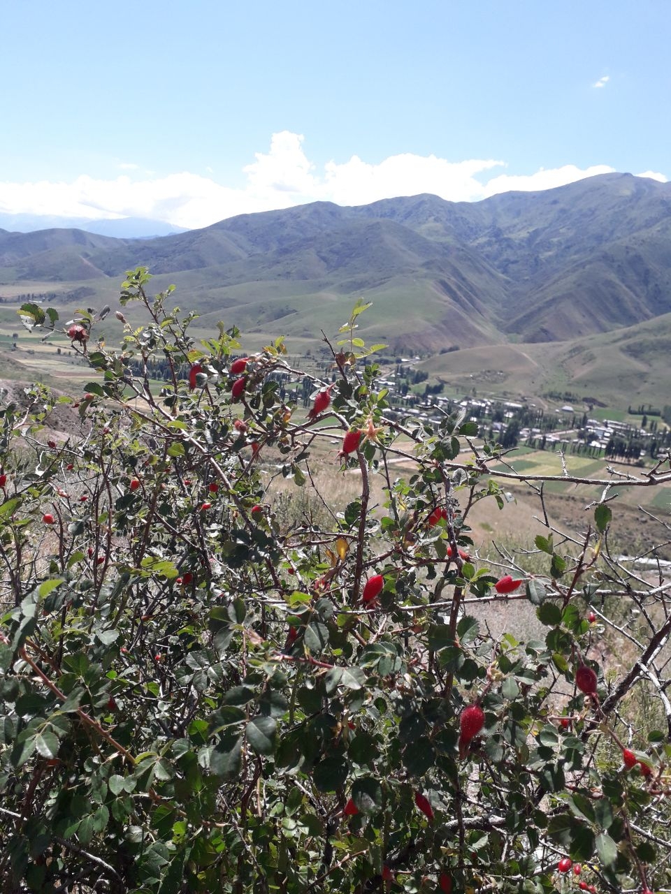 Смотровая площадка с видом на село Карагай-Булак Карагай-Булак, Киргизия
