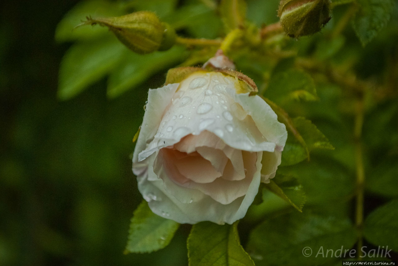 Осень в парках Агенскалнса Рига, Латвия