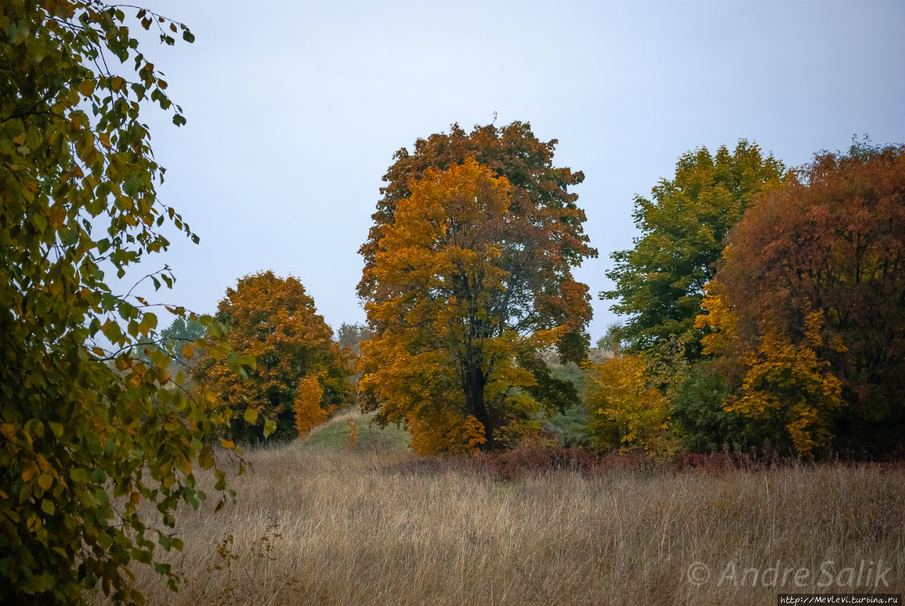 Красивая осень!!! Рига, Латвия