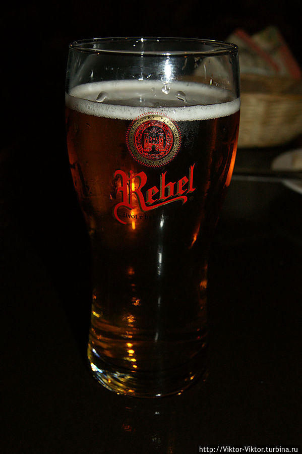Пиво Высочины Высочина, Чехия