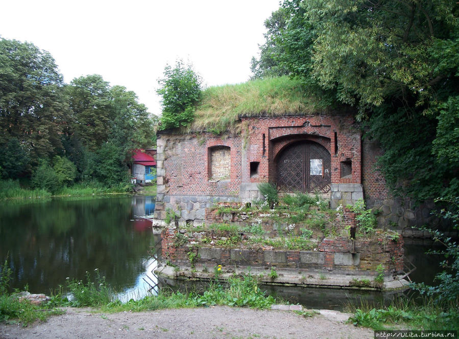 в парке Калининградская область, Россия