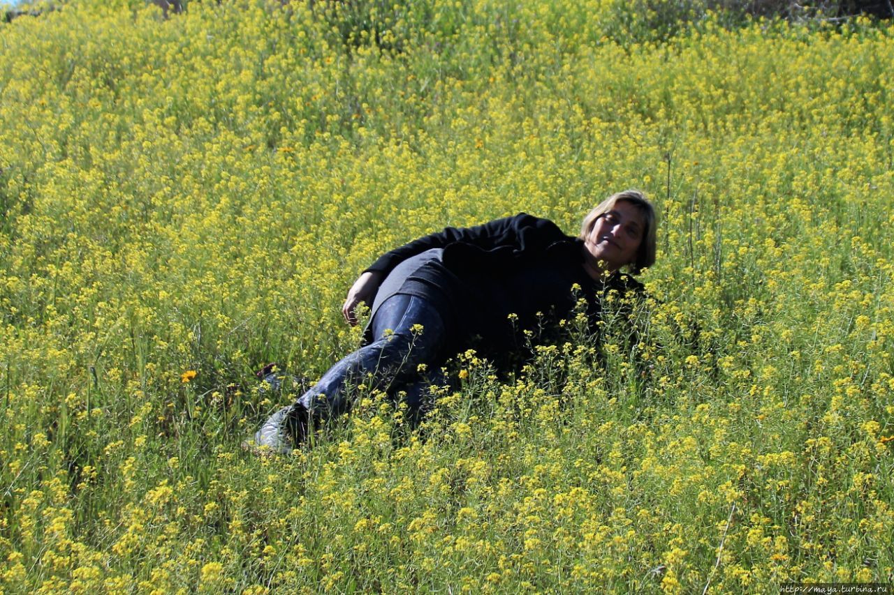Вдоль Газы. Офаким Офаким, Израиль