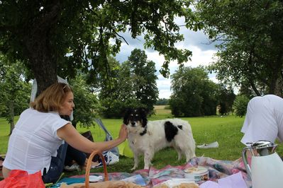 Собака попалась чудная. С веселыми глазами и хорошим аппетитом:)