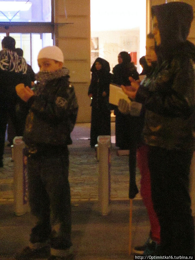 Исламский митинг на площади Шварценбергплатц Вена, Австрия