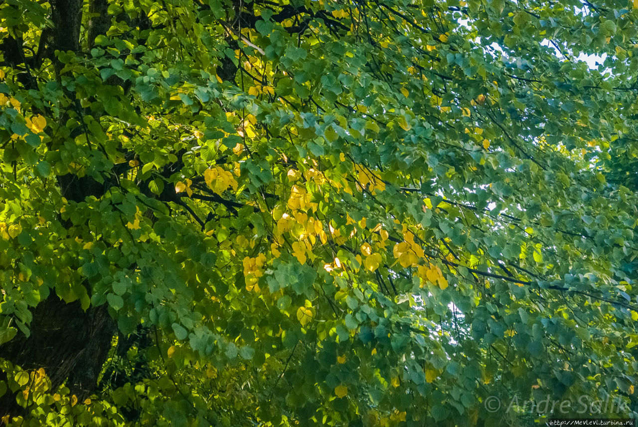 Последний день лета в Риге Рига, Латвия