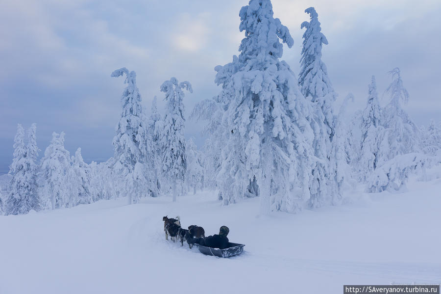 Филиал Страны Снегов — 2 Качканар, Россия