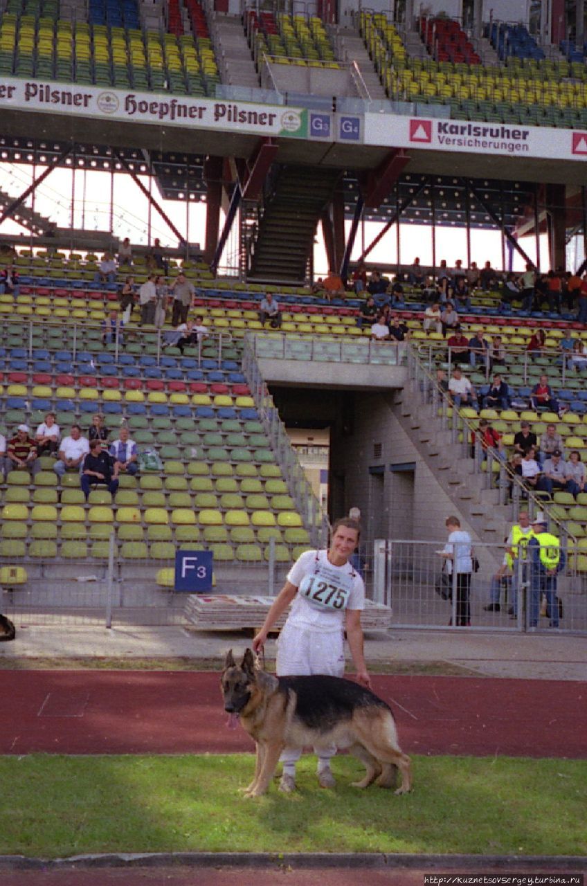 Наш Асслан фом Хаус Ширан Карлсруэ, Германия