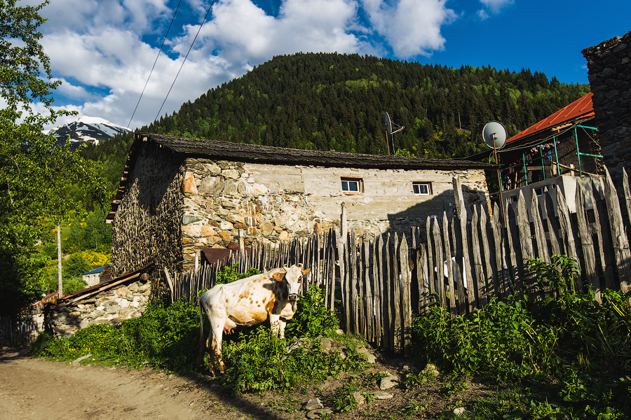 Вот мы и пришли.. В доме нас уже ждал вкусный ужин, приготовленный хозяевами:) Продолжение следует...