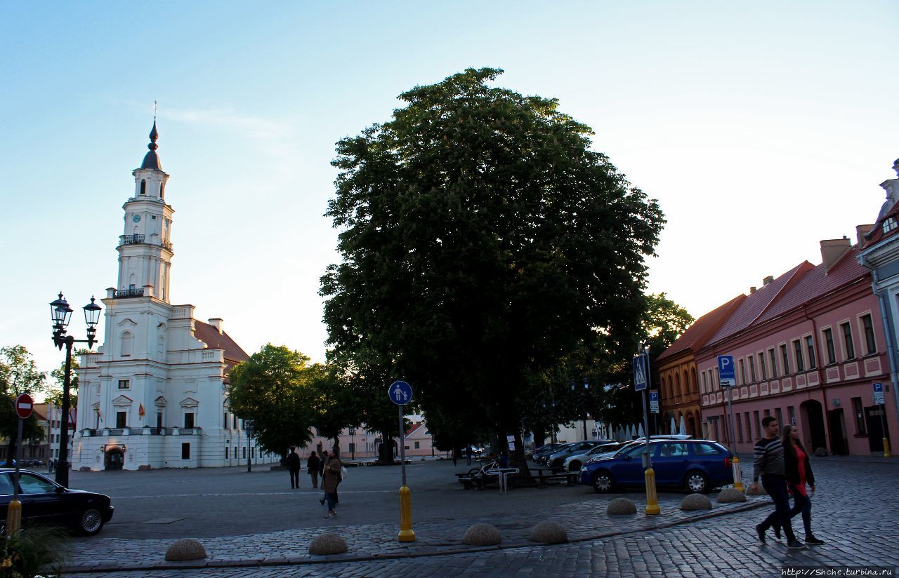 Ратушная площадь - сердце исторического центра Каунаса
