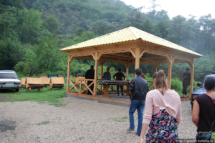 Медовая замануха Бзыбь, Абхазия
