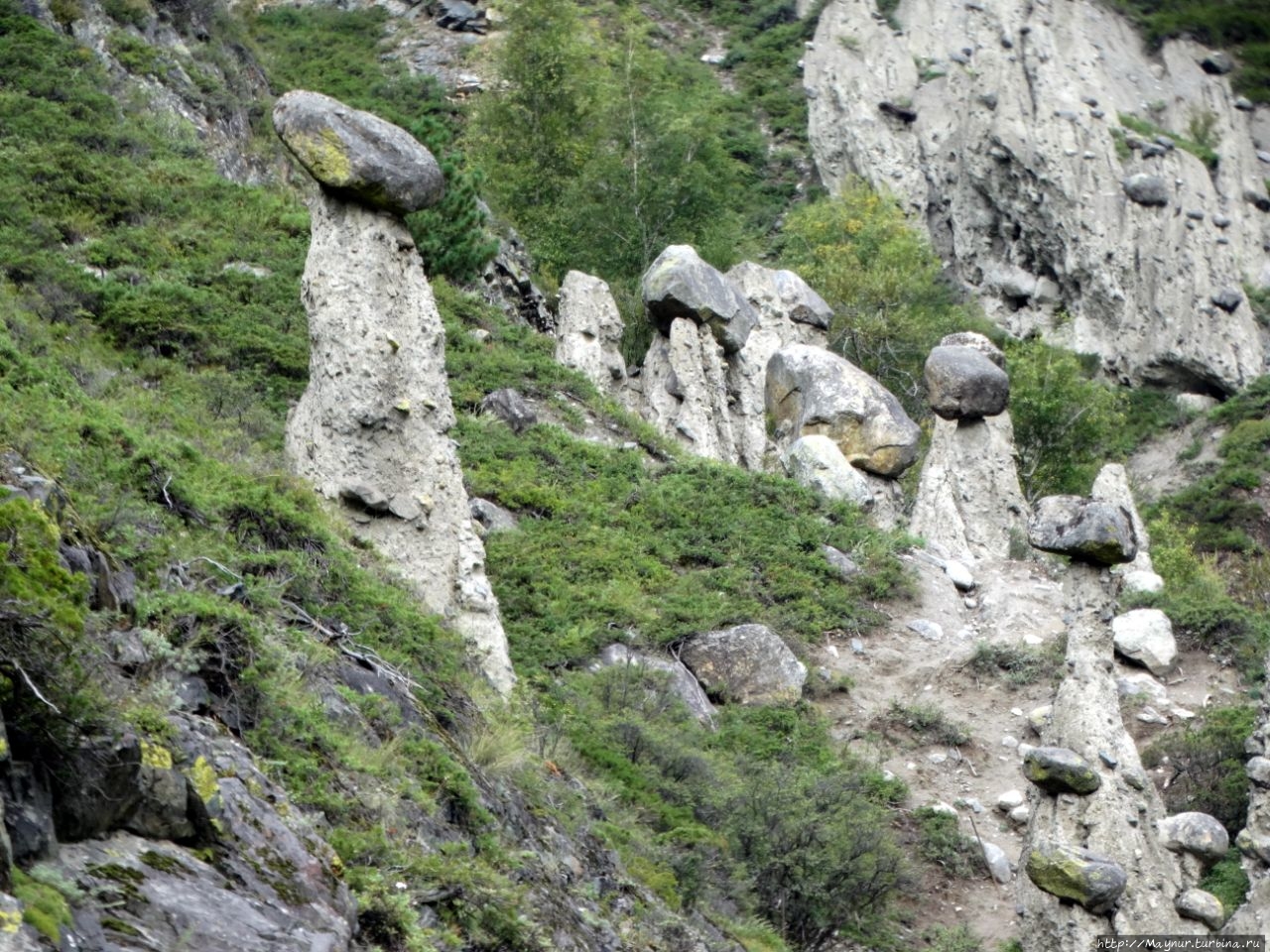 Урочище каменных грибов. Горный Алтай. Аккурум урочище каменных грибов, Россия