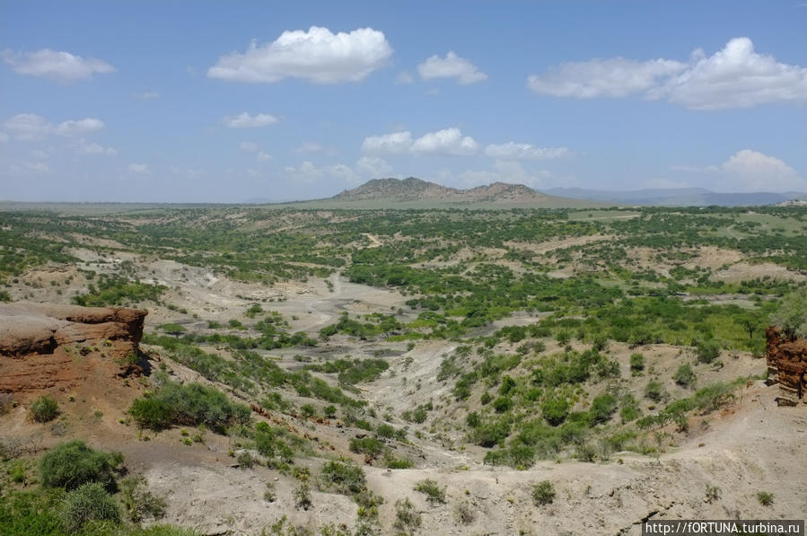 Олдувайское ущелье Нгоронгоро (заповедник в кратере вулкана), Танзания