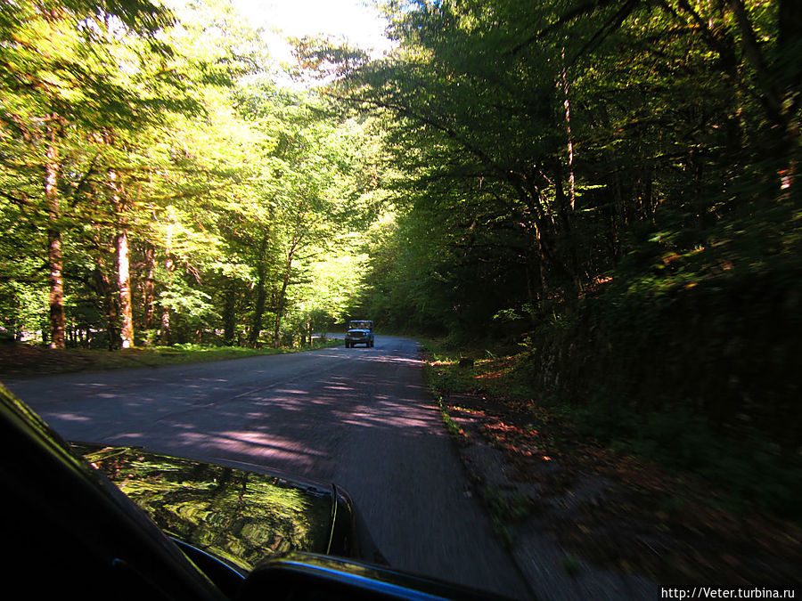 Мы узнаем, что на берегу Рицы находится дача Сталина. Просим Ишхана нас туда свозить. Для этого надо ехать на другой берег.