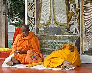 *Ланкийские монахи — они находятся в постоянном поиске истины