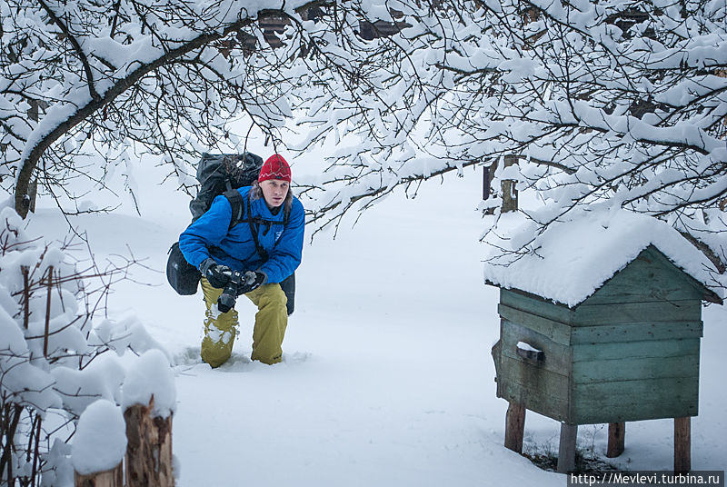 Заснеженная пасека Рига, Латвия